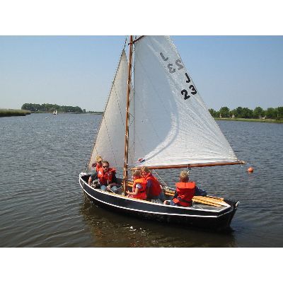 Duikelaar