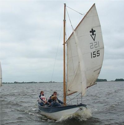 Albatros