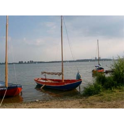 Zeekoet