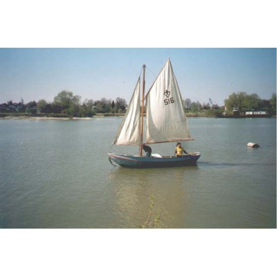 Zeehond