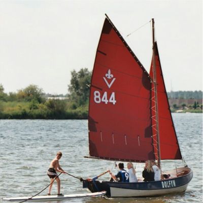 Dolfijn