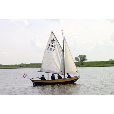 Zeearend