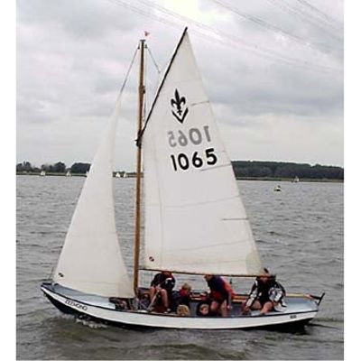Zeehond