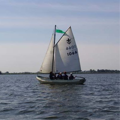 Dolfijn