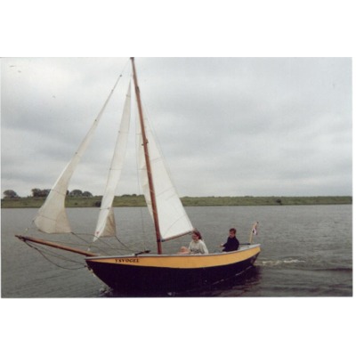 IJsvogel