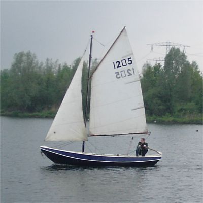 Zwartkegelbarbeelen