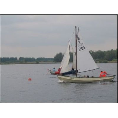Orca